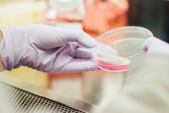 Stock image verticaal